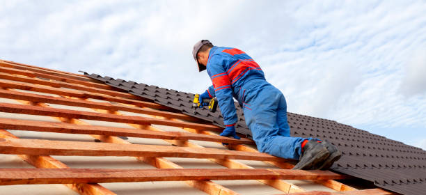 Best Roof Moss and Algae Removal  in Scottdale, PA